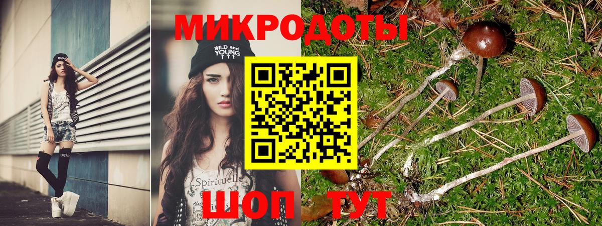 Псилоцибиновые грибы прущие грибы Мценск