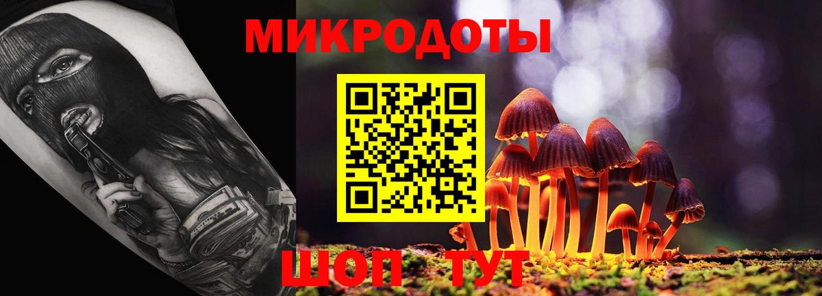 Псилоцибиновые грибы Psilocybine cubensis  Вход с VPN  Мценск 